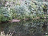 Mt William National Park - Tasmania
