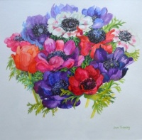 Joan Thewsey - Anemones: Red, White, Pink and Purple