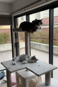 Alphie & Frankie Besties 01