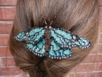 morpho - very large