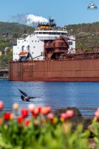 Interlake Steamship Company Paul R. Tregurtha departs