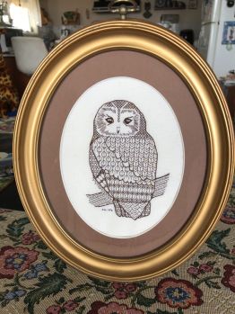Another member of my. Parliament of Owls.