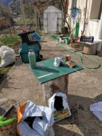 spring project