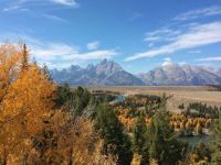 Teton autumn, Snake River overlook, 9/20/16