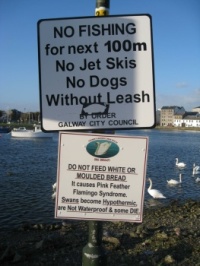 Sign at Galway