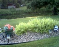 Rock Garden