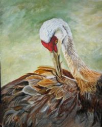 Sandhill Crane Painting
