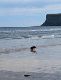 saltburn on sea 27 april 04