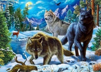 Pack of Wolves