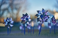 Pinwheels In The Courthouse Yard