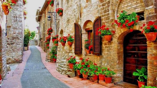 Flower Lined Street, Assisi, Italy