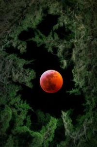 Sunday -1 20-19 Blood Moon