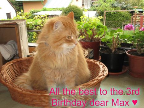 Happy 3rd Birthday dear Max ♥