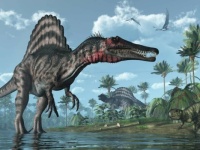 Spinosaurus – a giant of the Late Cretaceous period – is perhaps the 