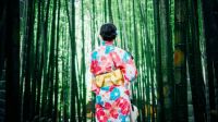 Floral kimono and bamboo