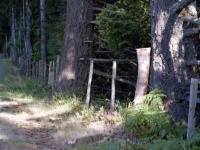 Old Time Fence