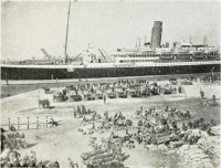 HMT Alaunia in Alexandria, 1915