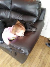 b and b