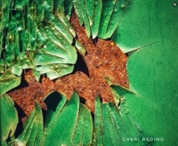 Peeling paint 3