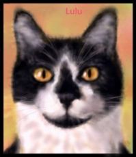 Cats I Know - Lulu - Portrait Painting