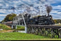 Celebrating a Century of "life", since many consider a steam locomotive to be a living mechanical "beast"!