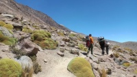 Chachani   Peru 2024