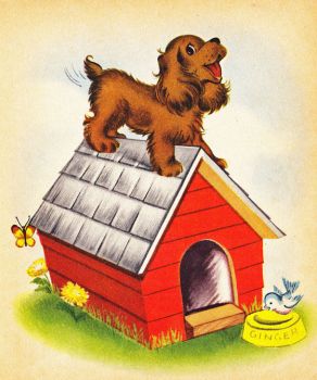 Dog on dog house