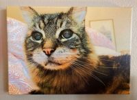 Wimsey photo canvas