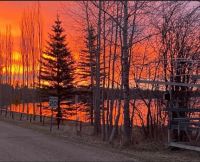 Sunrise at the Pigeon Lake, Alberta