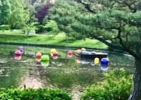 A Boatload of Balls in the Japanese Garden Lake