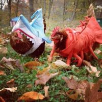 This halloween, everyone is getting costumes!