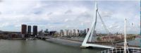 Rotterdam VII