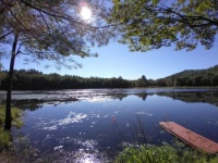 lake on a sunny day