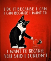 Feline Psychology