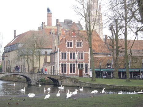 Bruges 29.01.14 009