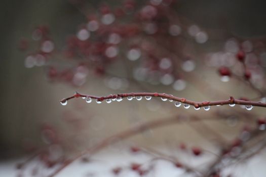 Droplets in Red