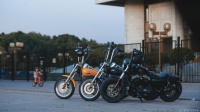 Harley-Davidson trio