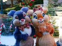 Can you name these Disney Bunnies..?? Shhhh.. don't tell..just say yes or no..