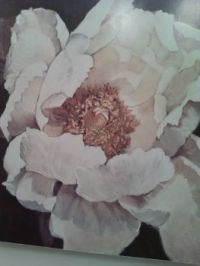 On my wall