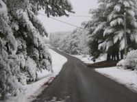 Snowy lane in Virginia