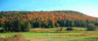 Eagle Hollow Road Near My Home, Vershire, VT 09/27/14