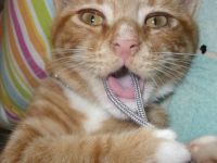 Let me eat the camera!