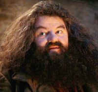 Hagrid