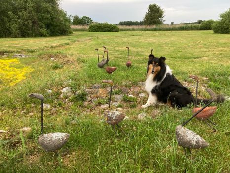 My best friend surrounded by geese of stone