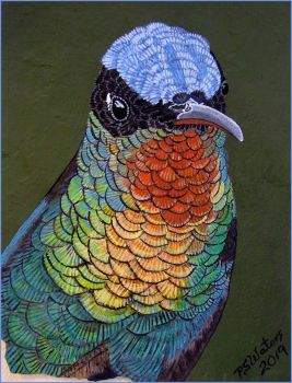 Hummingbird by Patsy Waters