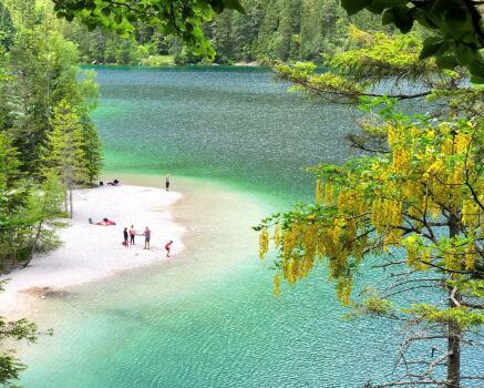 Solve Alpine Lake Tovel (National Park Adamello-Brenta) in the summer ...