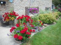 Pretty Garden