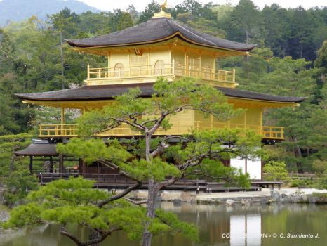 JAPAN – Kyoto – The Temple of the Golden Pavilion