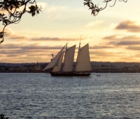 San Diego Harbor - Tall Ship