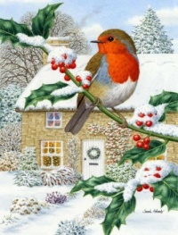 Seasonal Art - Birds - Winter Robin